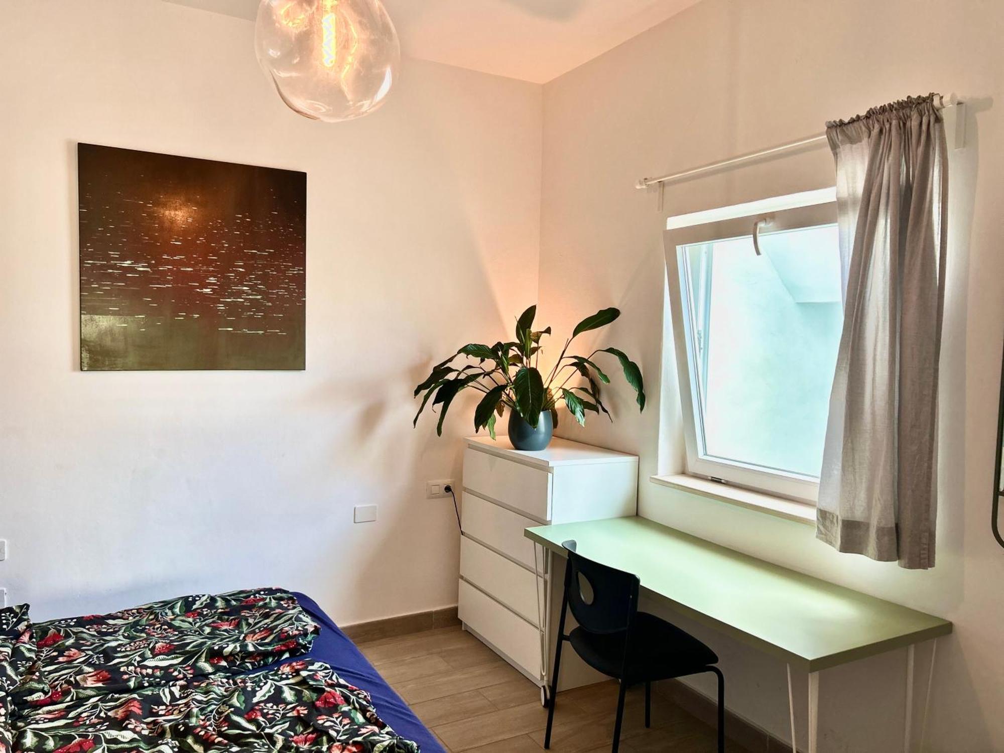 Ferienwohnung Perro Y Osito Garachico  Exterior foto