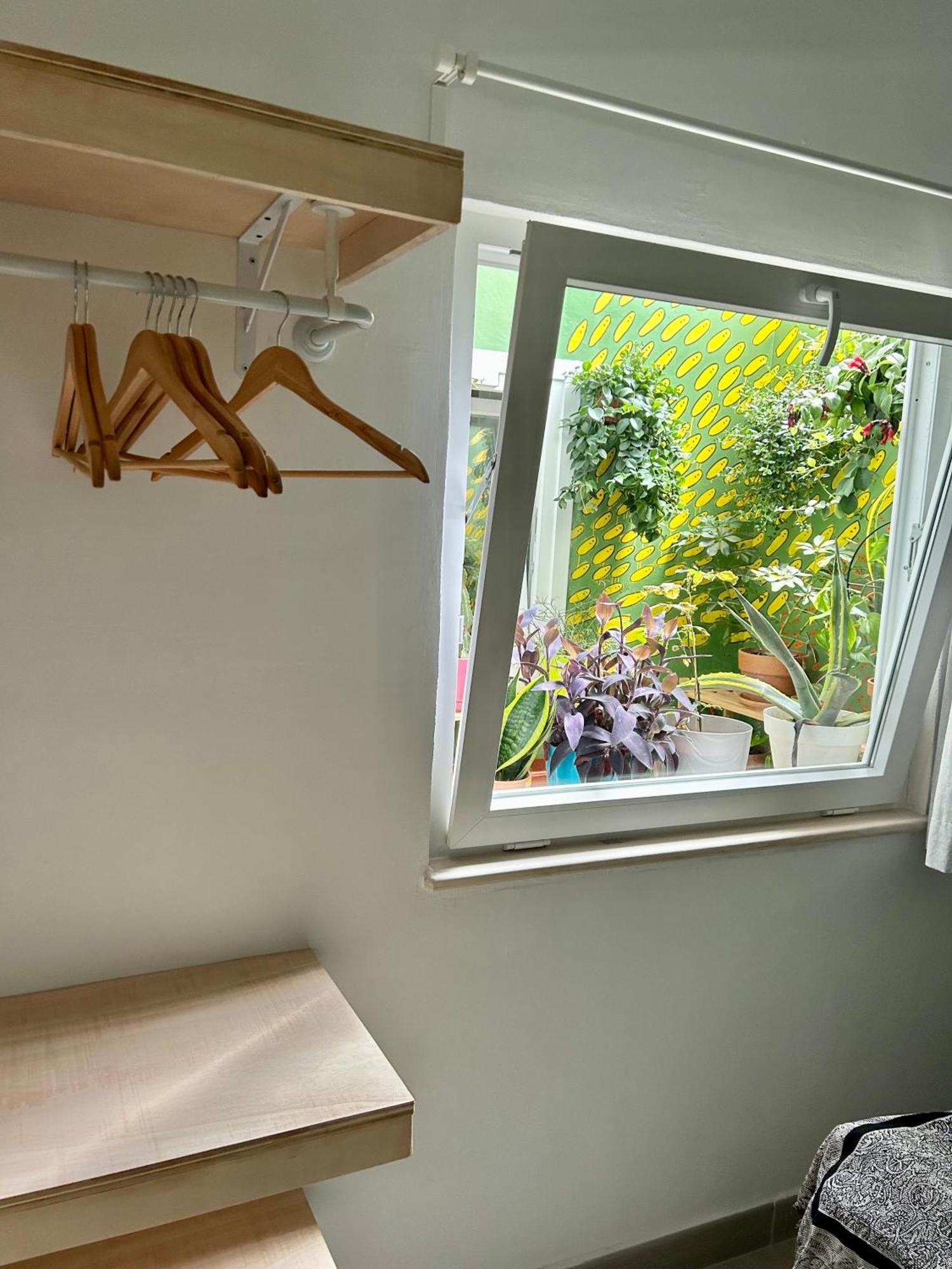 Ferienwohnung Perro Y Osito Garachico  Exterior foto