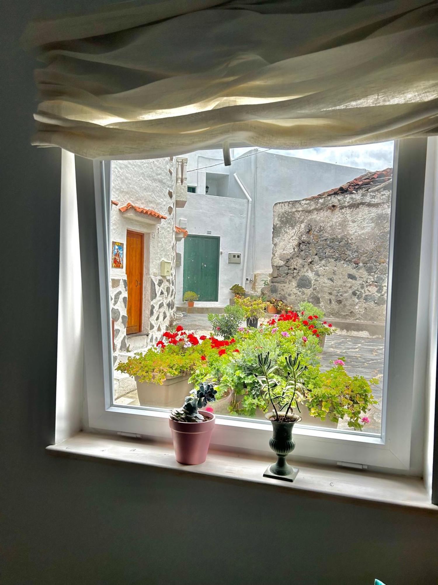 Ferienwohnung Perro Y Osito Garachico  Exterior foto